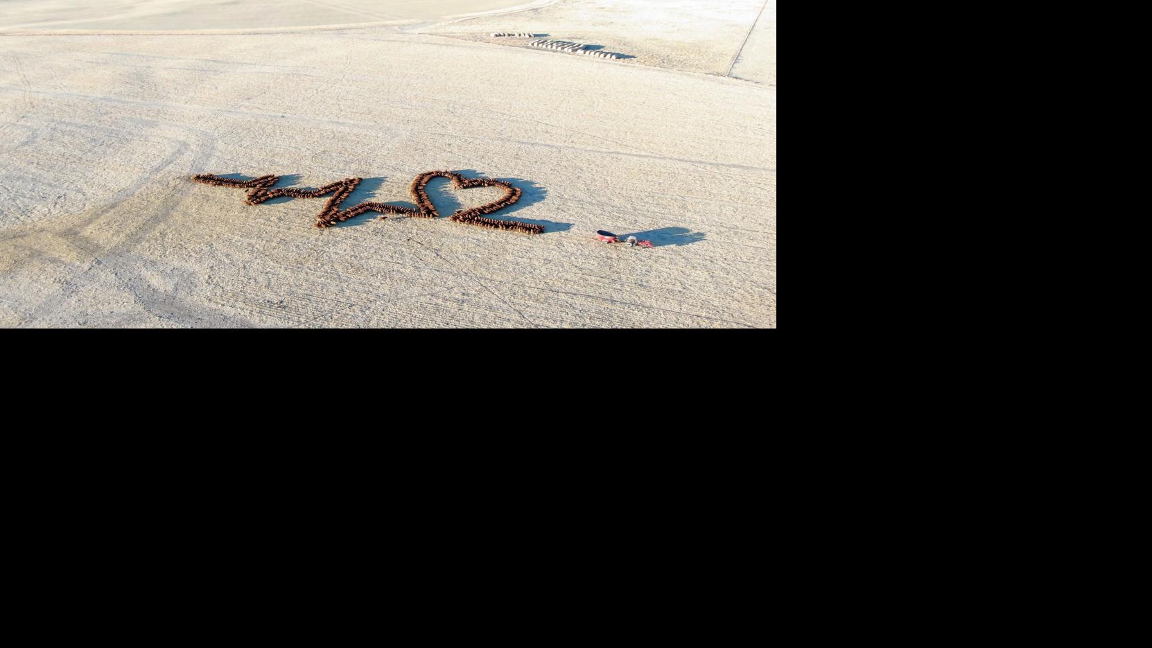 Watch Now: Western Nebraska rancher sends season's greetings to health care workers -- with help from cows
