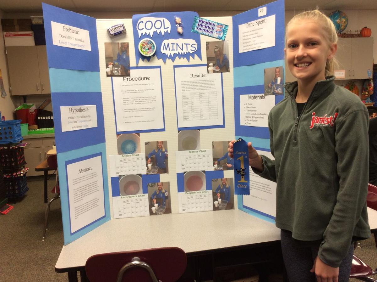 Students win awards for school science fair | Education ...