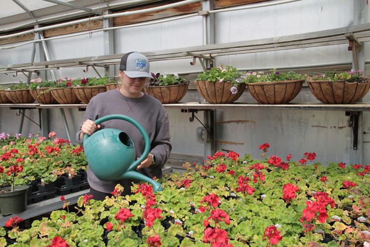 SCC to hold annual plant sale