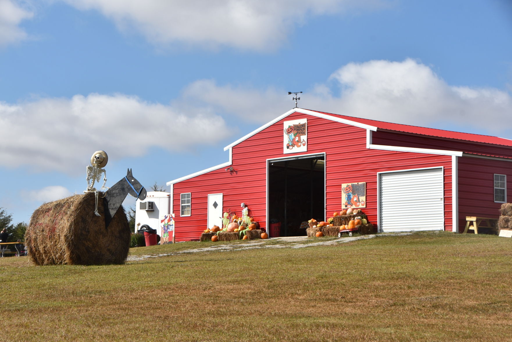 New pumpkin patch opens west of Beatrice