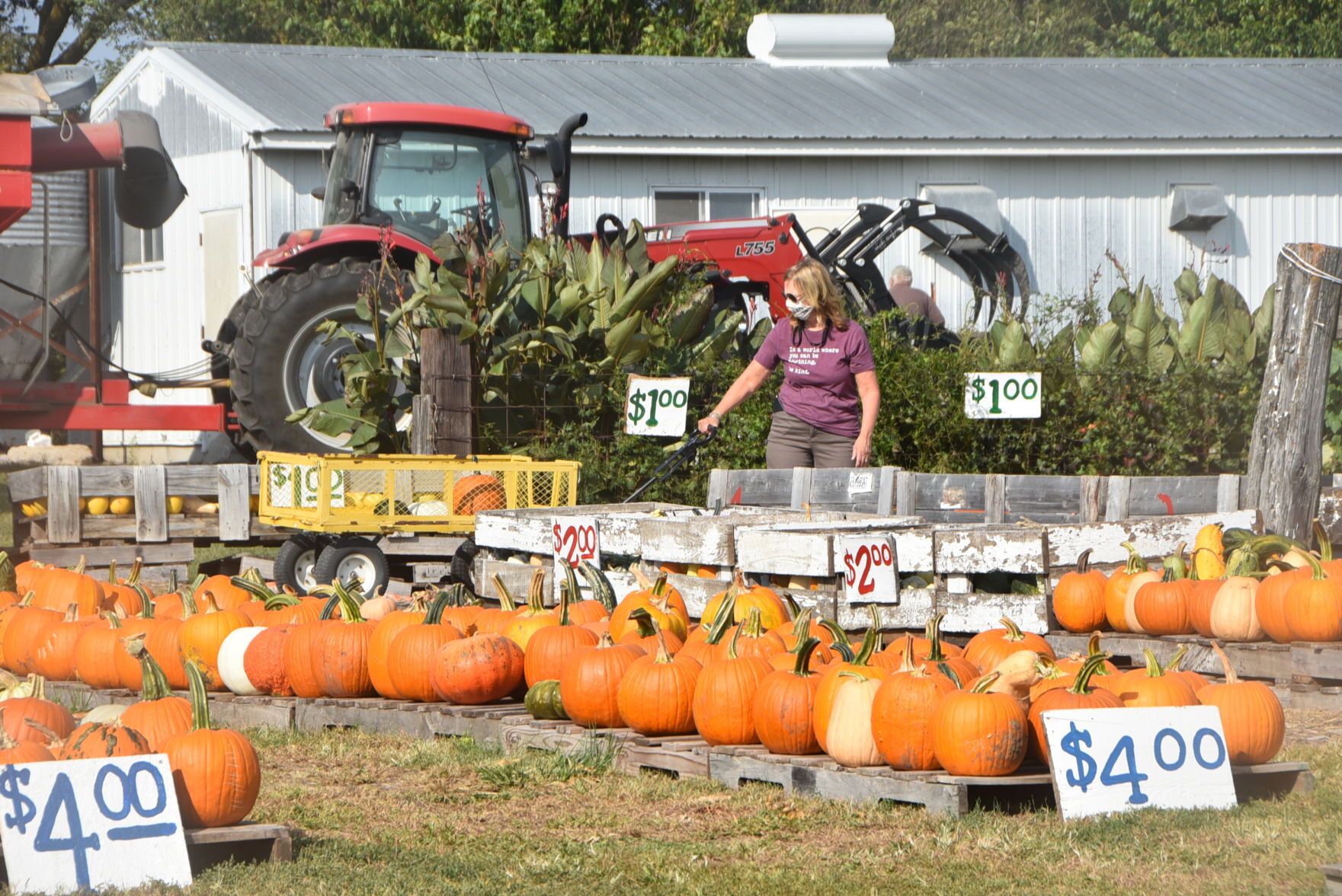 Korner Pumpkin Patch opens for final season