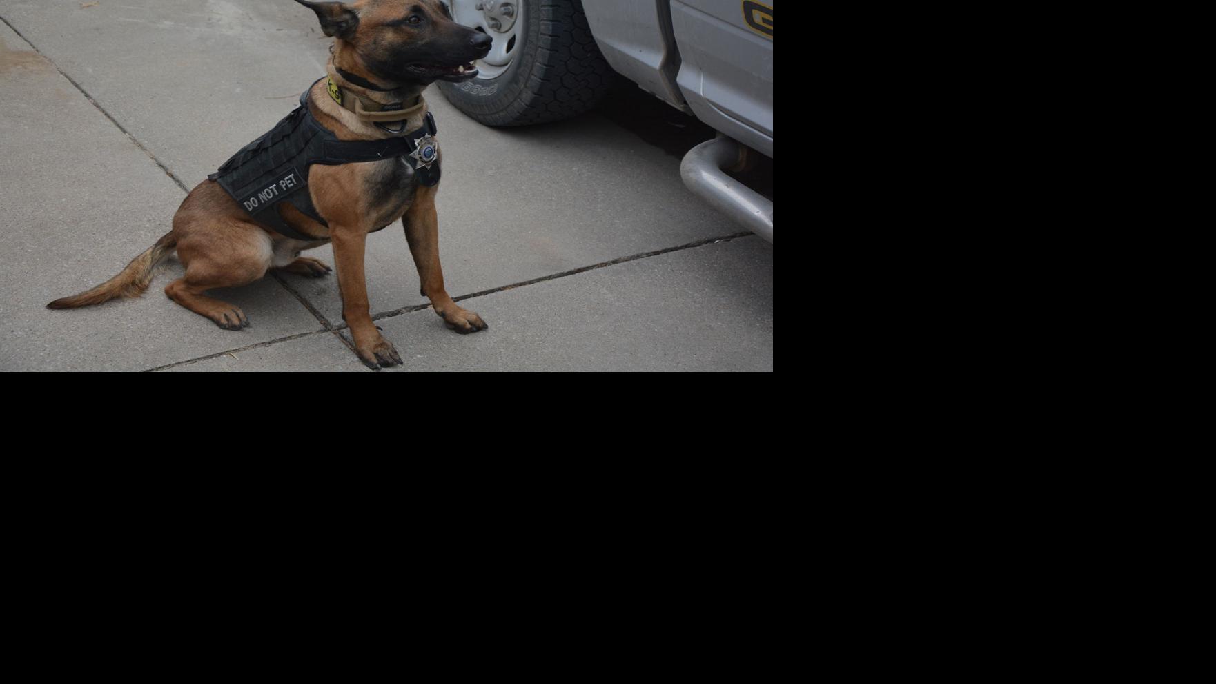 Deputy leaving sheriff's office will have to pay to keep service dog