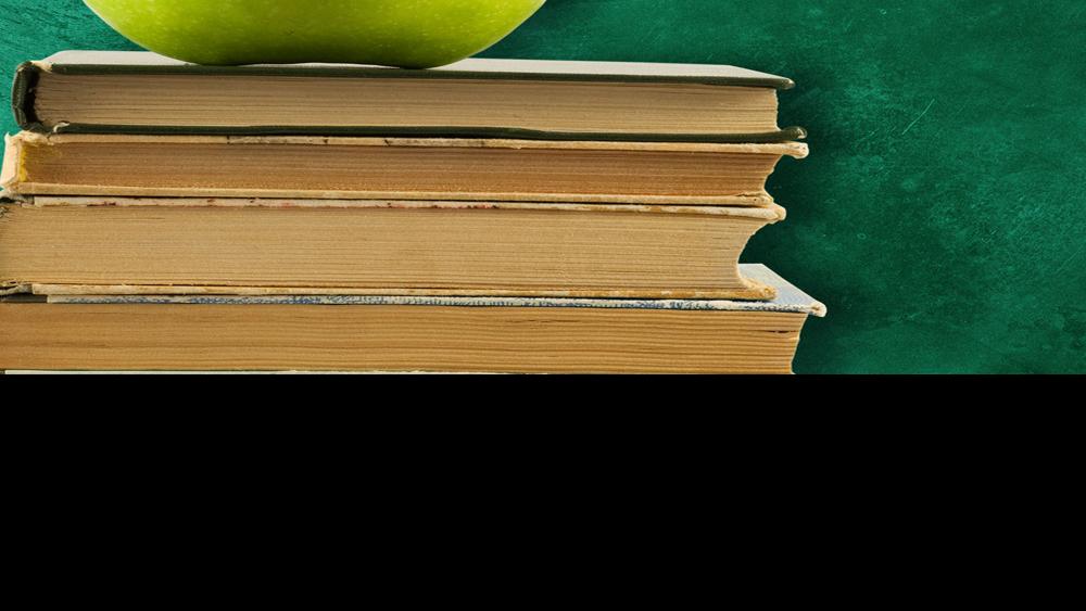 State teachers target Sens. Riepe and Thibodeau over campaign ads