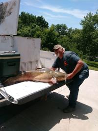 Record catfish