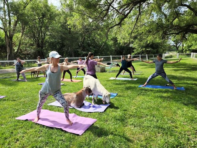 yoga