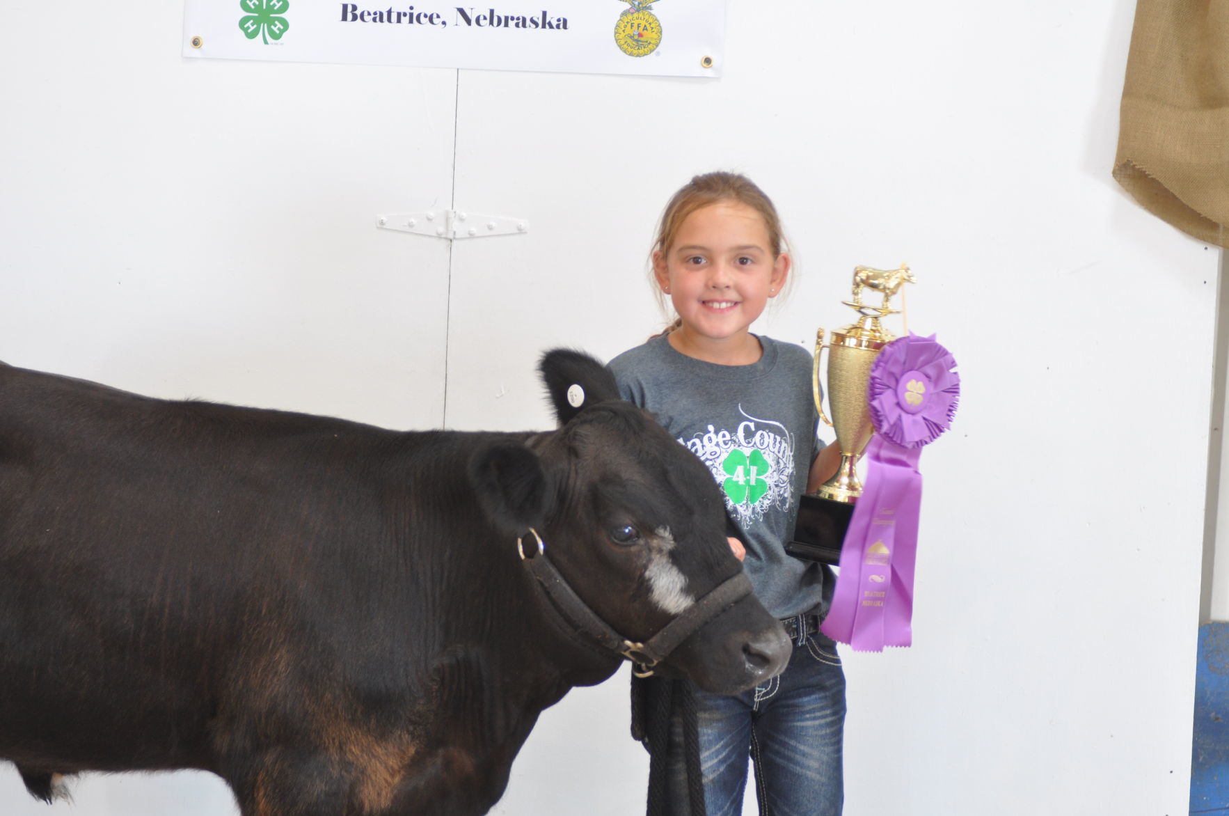 Bucket Calf Show