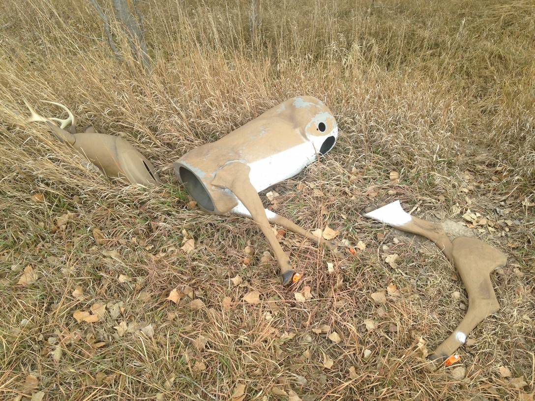 deer decoy