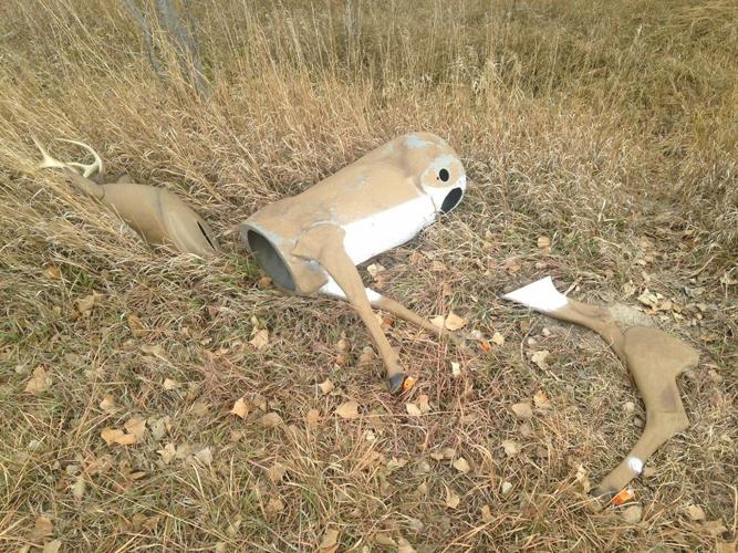 Do deer decoys really work?