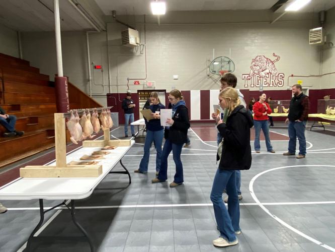 Lewiston FFA hosts poultry judging contest