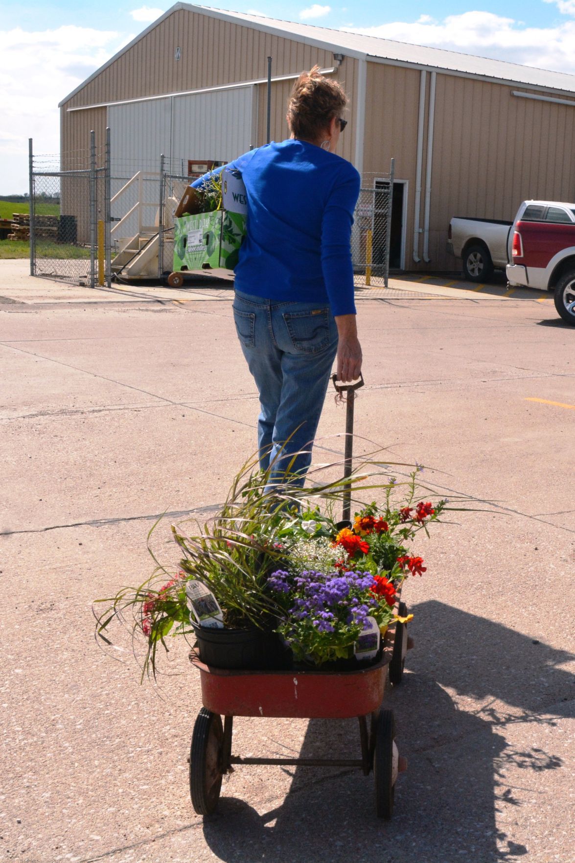 Plant sale going on now at SCC Local News