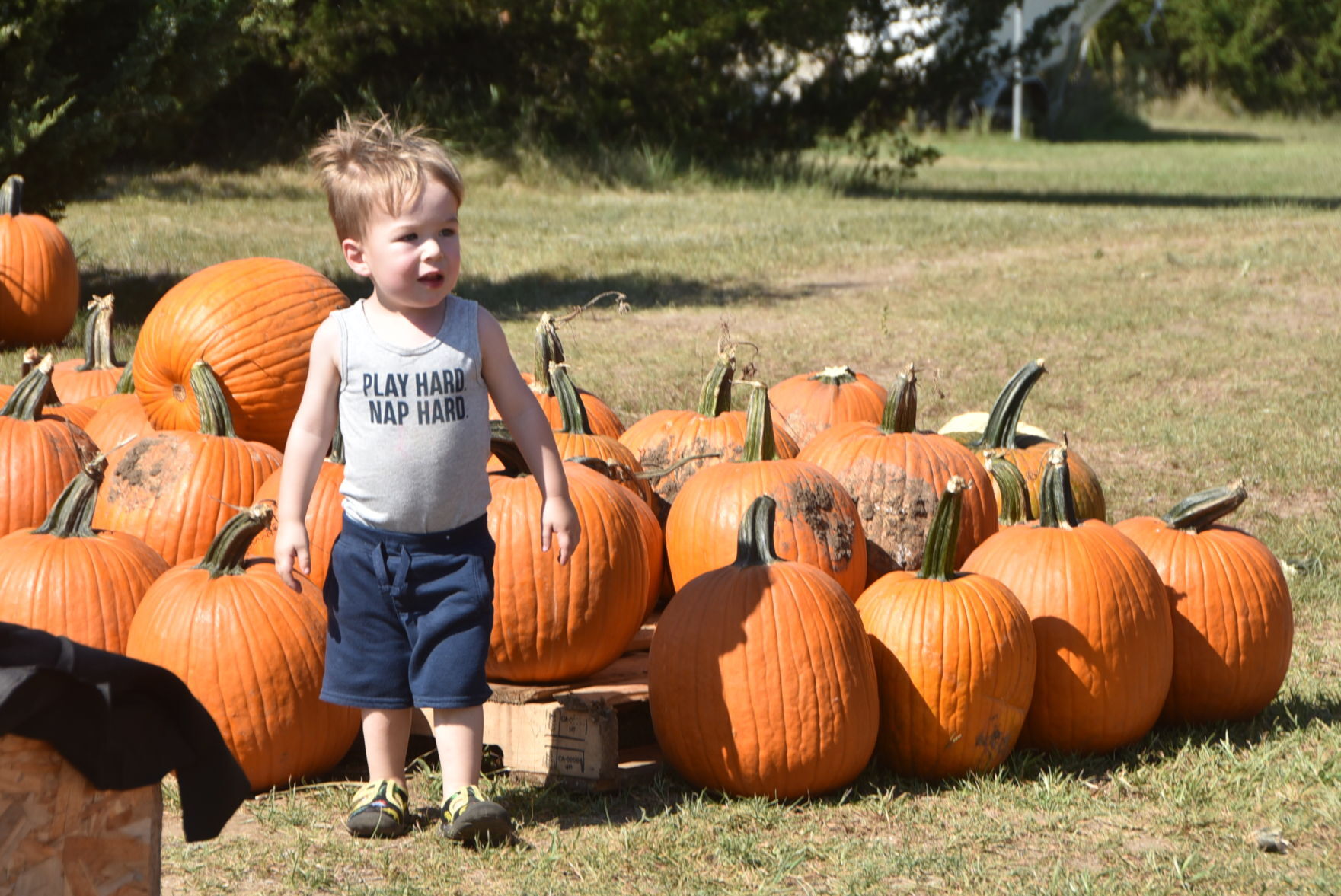 Jurgens Pumpkin Patch adds new haunts