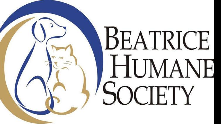 March Madness at the shelter