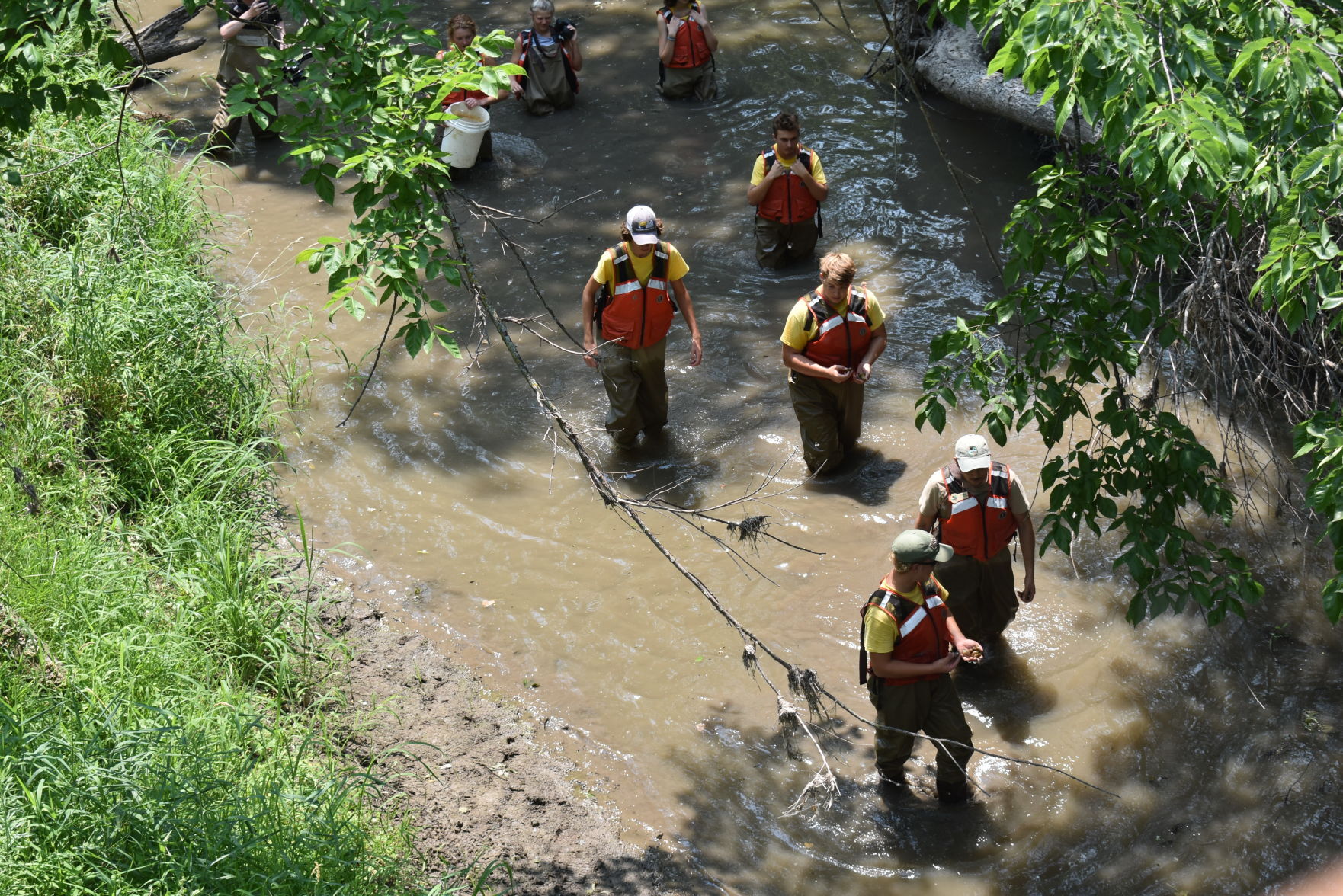 Mussels delivered to Cub Creek near Beatrice