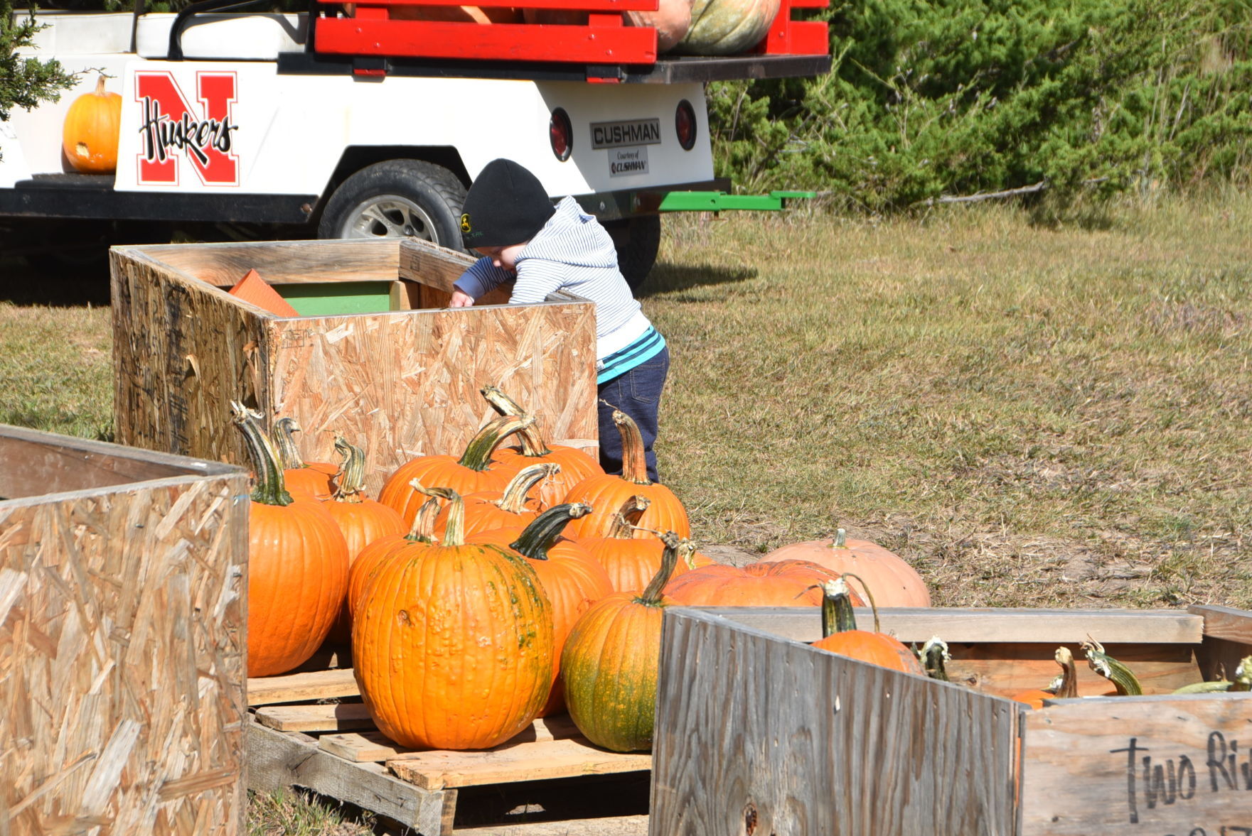 New pumpkin patch opens west of Beatrice