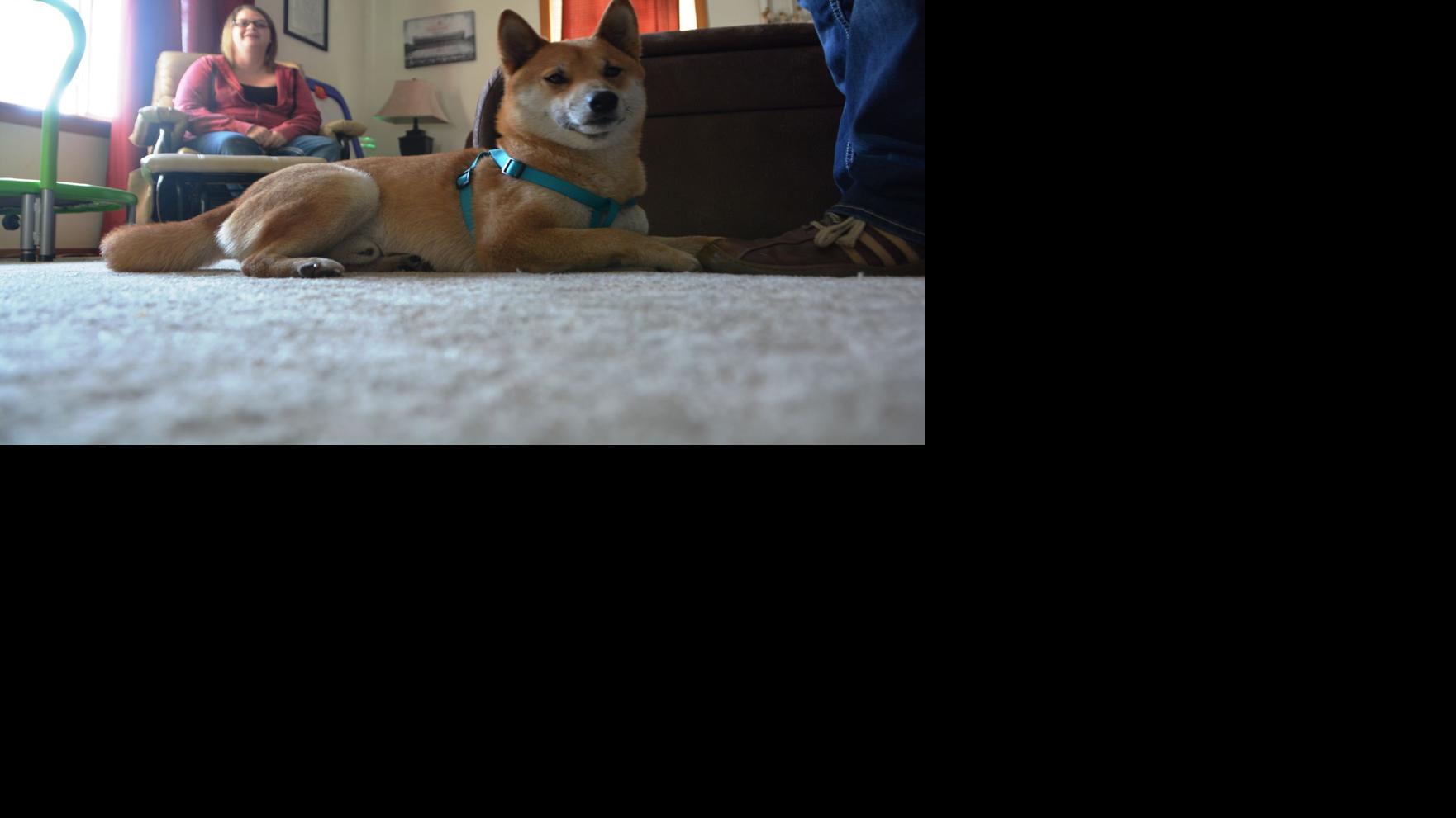 Ted's excellent adventure