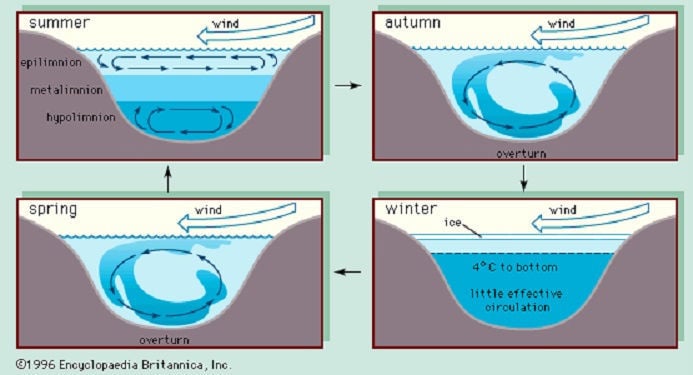 what-does-it-mean-when-a-lake-turns-over