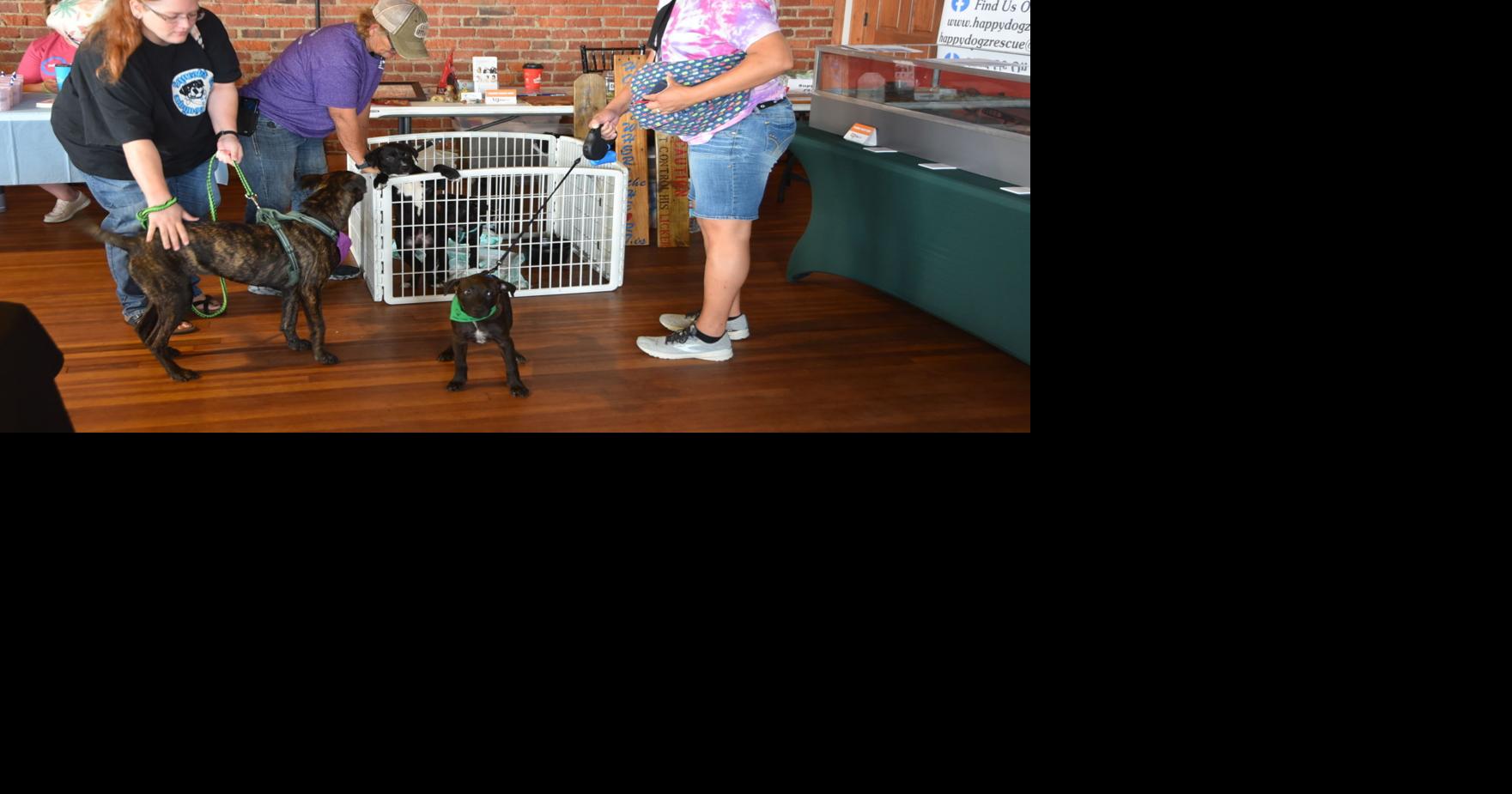 Gage County to breaks previous Big Give donations