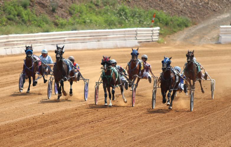 Track records fall in harness racing conclusion | Local ...