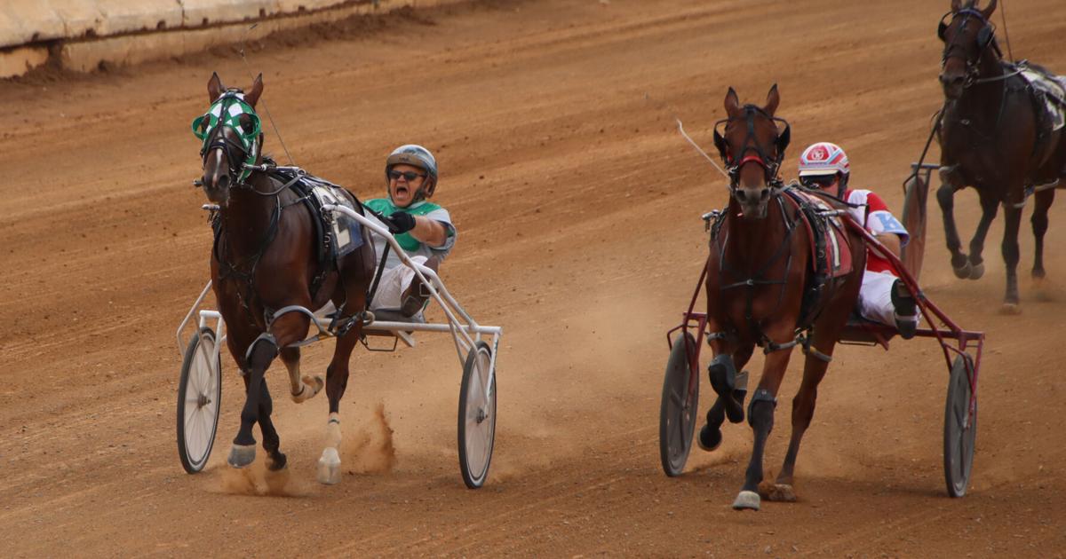 Harness racing returns back to the fairgrounds | Local | bedfordgazette.com