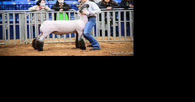 Tewell shows grand champion market lamb at farm show - Vimarsana News