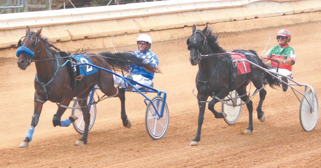 Harness racing track records fall at the Fair | Local News ...