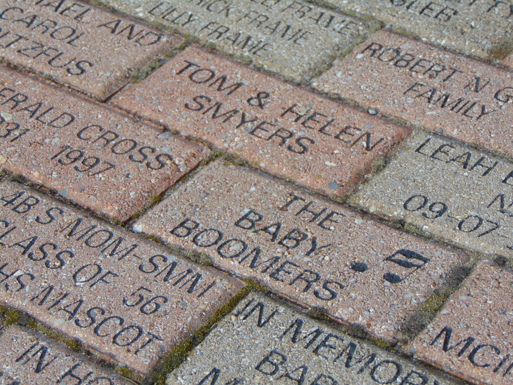 DBI to host annual Chocolate Walk, begins legacy brick sale - Vimarsana News