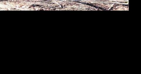 Wishart Mine part 2 - Vimarsana News