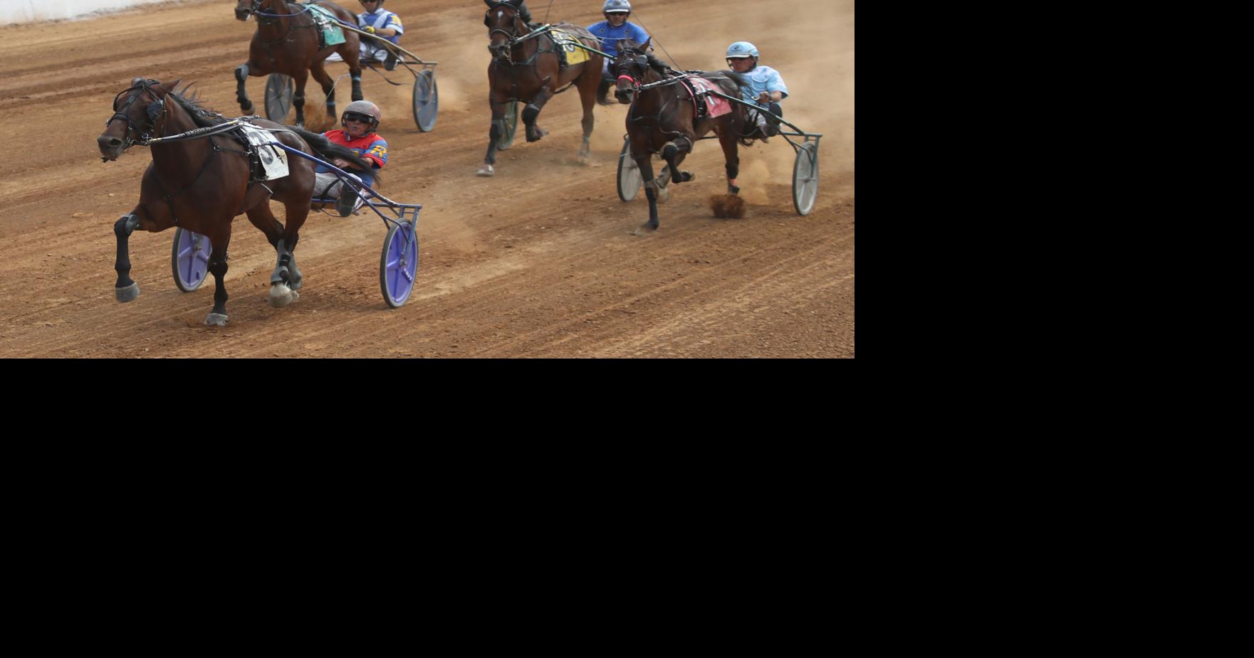 Track records fall in harness racing conclusion | Local ...
