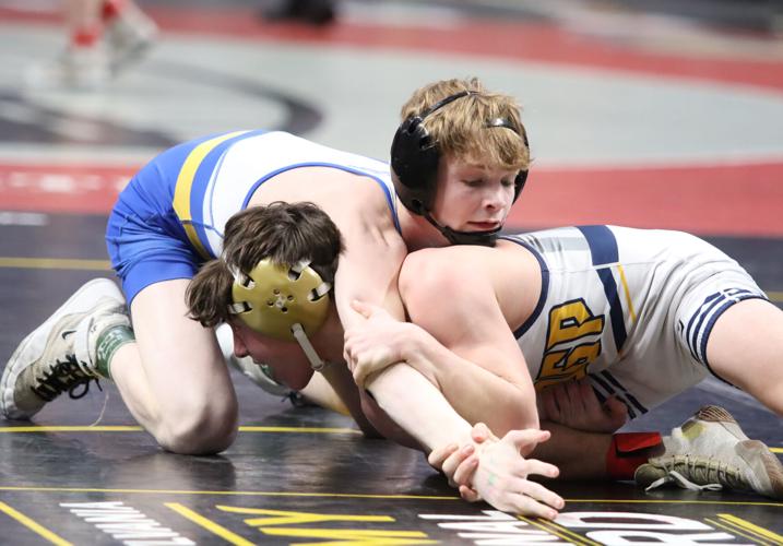 Chestnut Ridge comes up short at state wrestling, Local