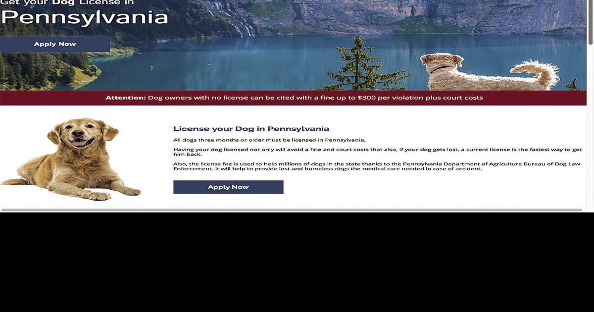 Pa. dog licenses Local News