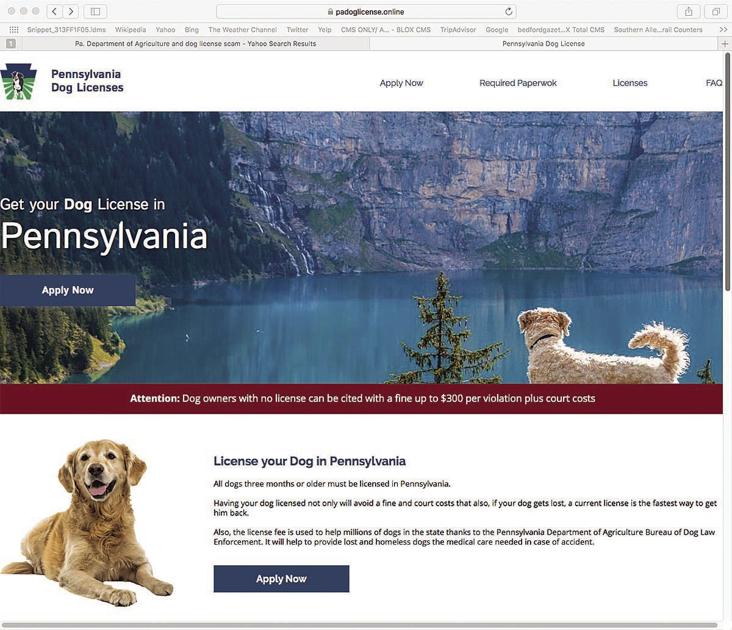 Pa Dog Licenses Local News Bedfordgazette Com