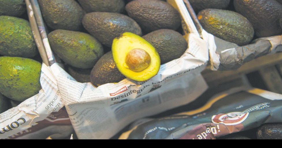 In Mexico, high avocado prices fueling deforestation Archives
