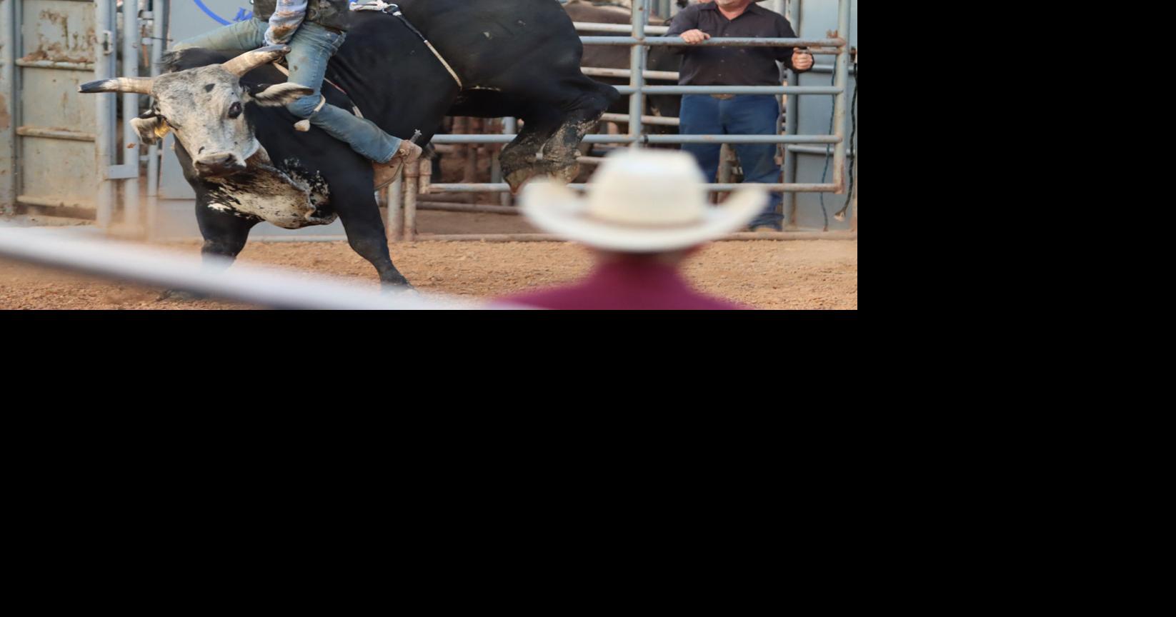 Bullride Mania makes annual stop at Bedford Fair | Local ...