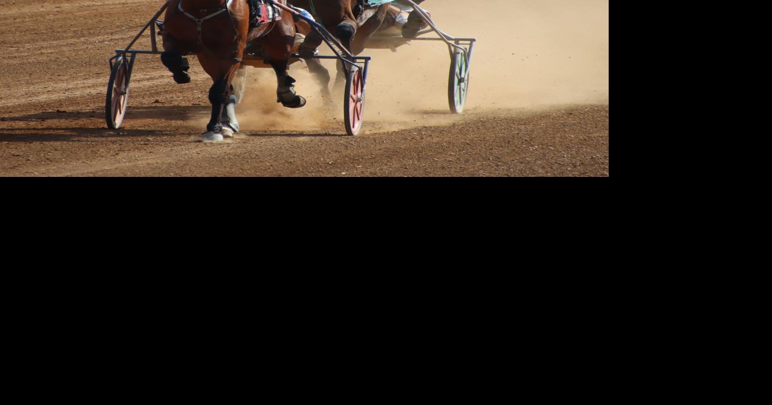 Dodson, Johnston win 3 races apiece | Local | bedfordgazette.com
