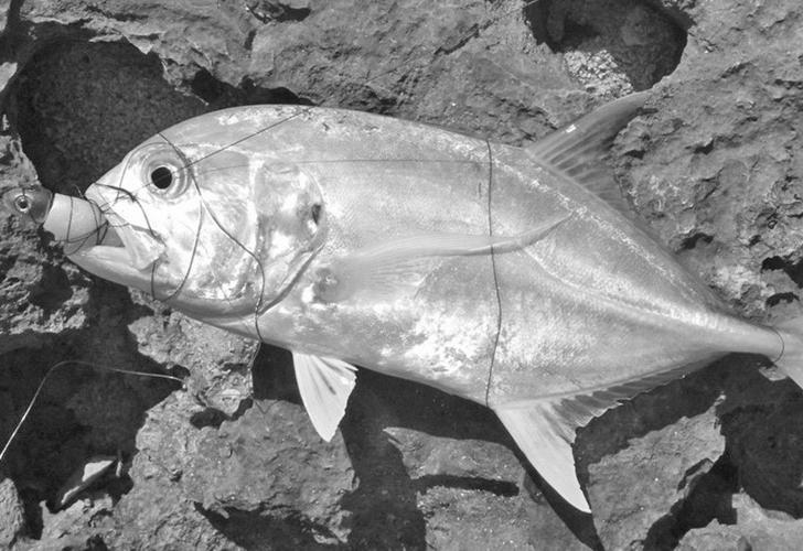 Bedford County Sportsman Archives