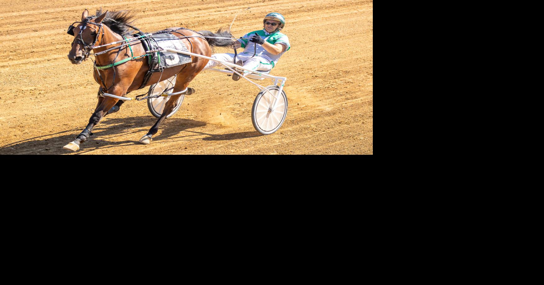 Schadel family dominates Day 1 harness racing aciton