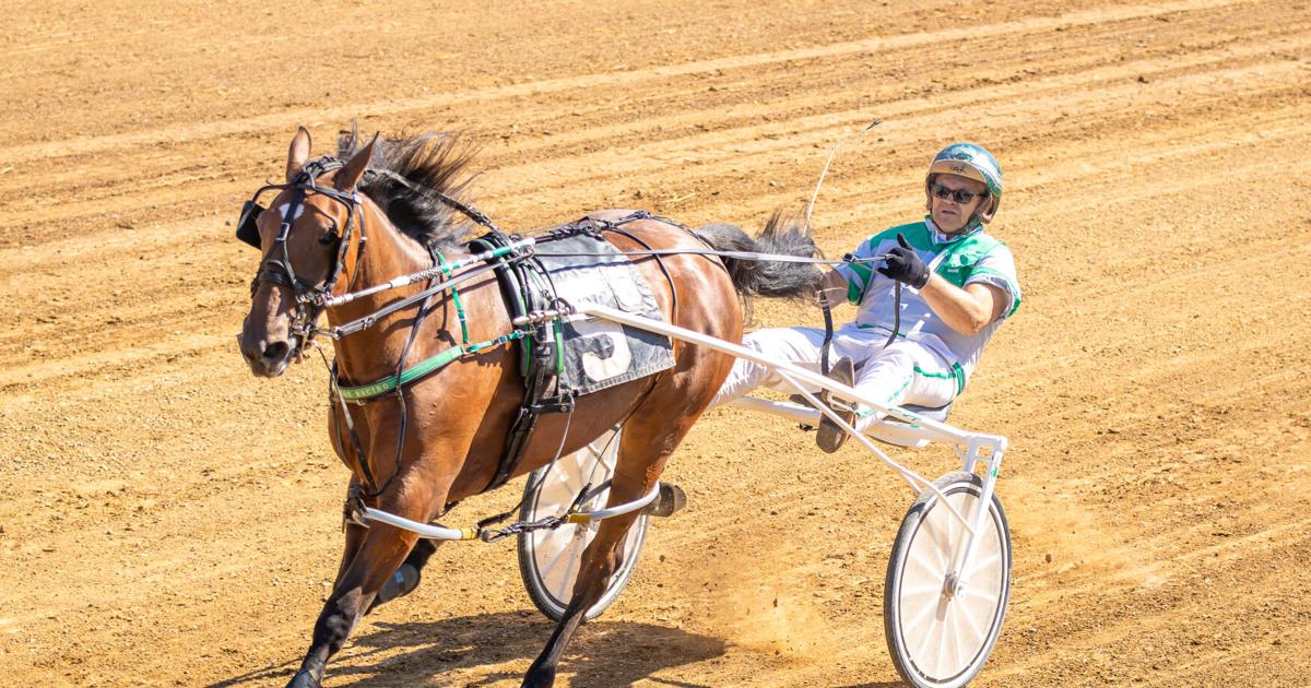 Schadel family dominates Day 1 harness racing aciton