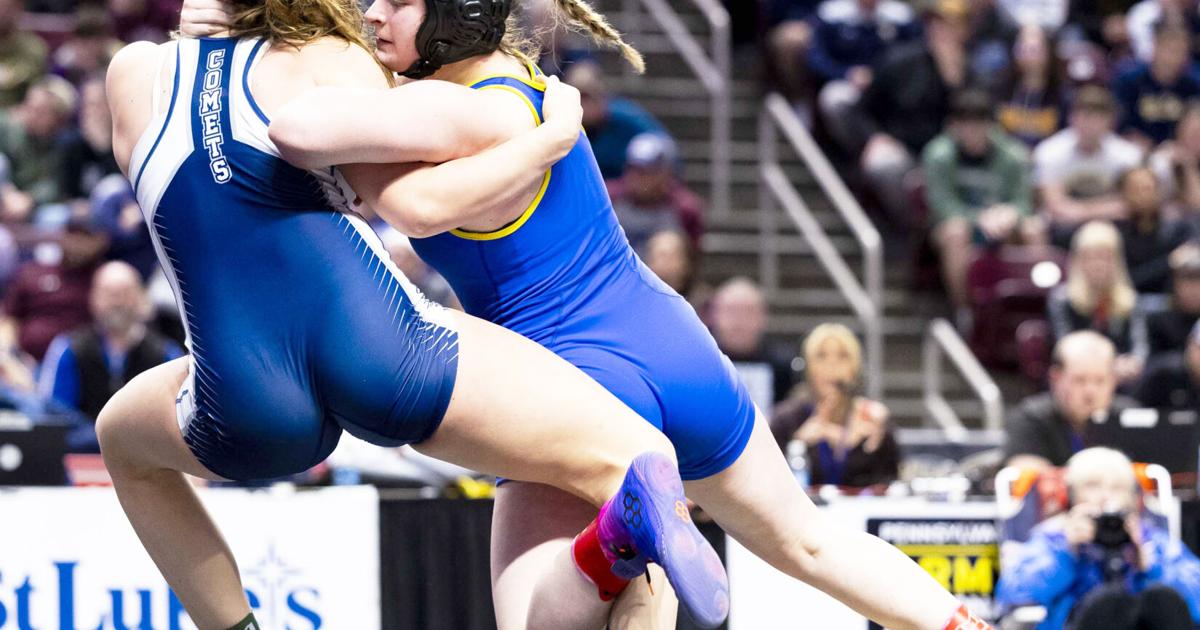 Emily Rethwill Competing Ridge wrestler earn three state titles | Local | bedfordgazette.com