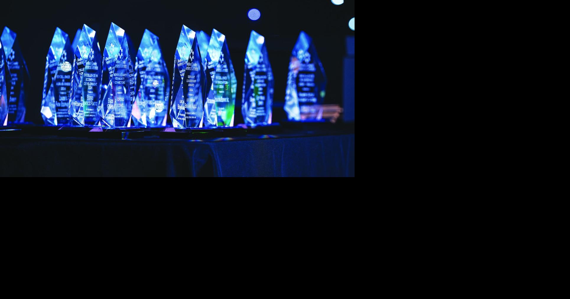 Chamber names annual award winners