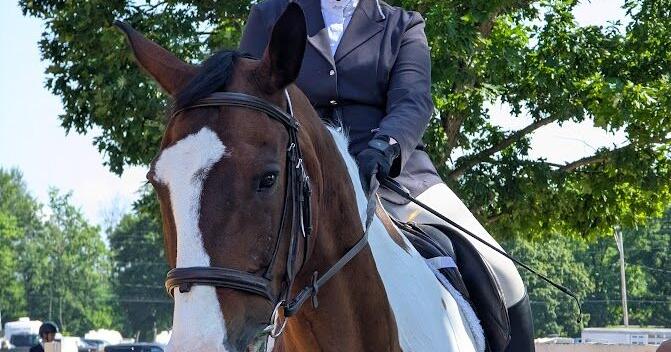 Featured Horses, riders, and helpers