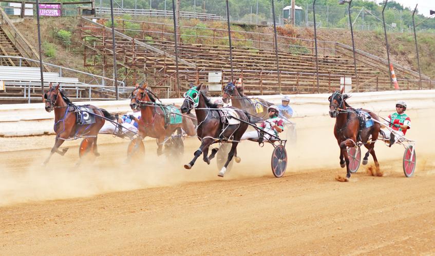 Hammer and grandson find victory at harness racing | Local ...