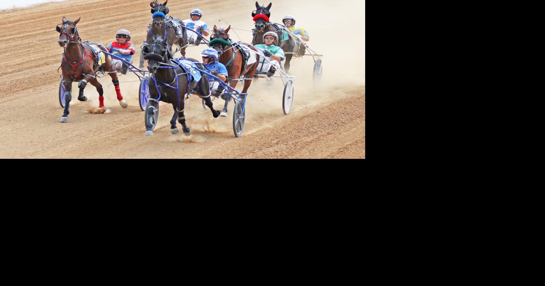 Hammer captures a victory at opening day of harness racing | Local ...