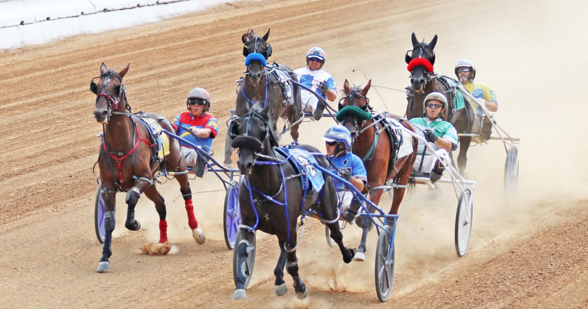 Hammer captures a victory at opening day of harness racing | Local ...