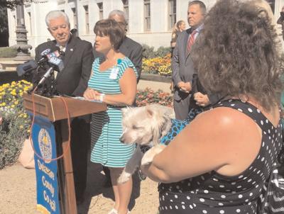 Dogs helping kids called to testify in Pa. county | Archives ...