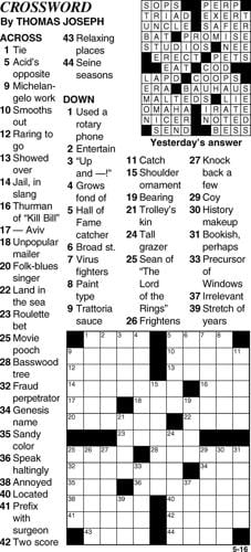 stupid person crossword clue