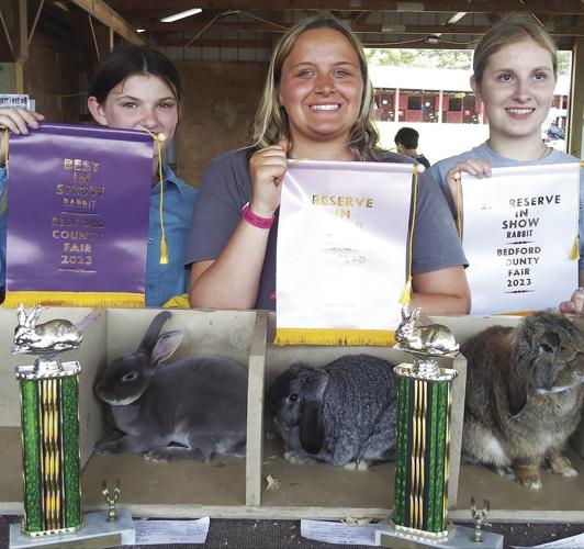 Fair Rabbit Results Local News