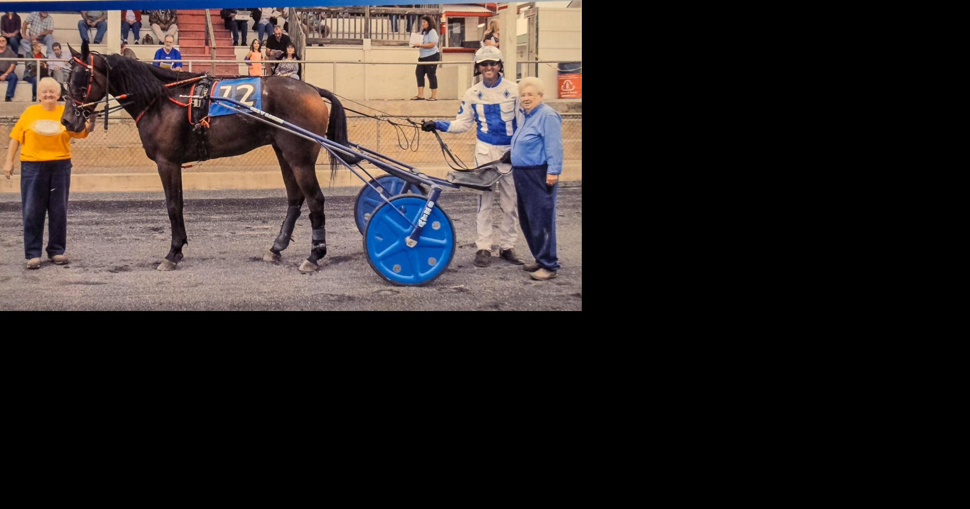 Bittersweet year for harness racing’s Sandy Petersen | Local ...
