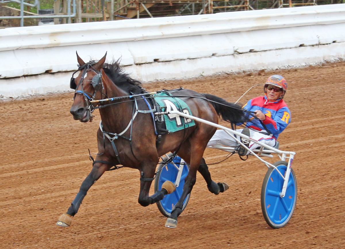 Trotters And Pacers Come To The Bedford County Fair