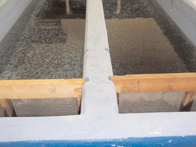 Bedford County Sportsman Archives