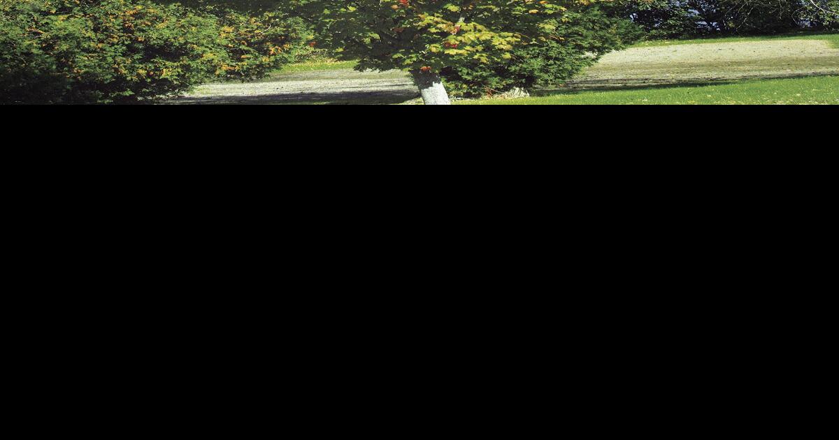 Coming close to the peak Local News